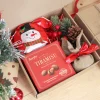 Hộp quà tặng Giáng sinh mẫu 1
